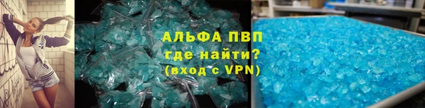 крисы Вязьма