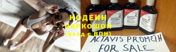 крисы Вязьма