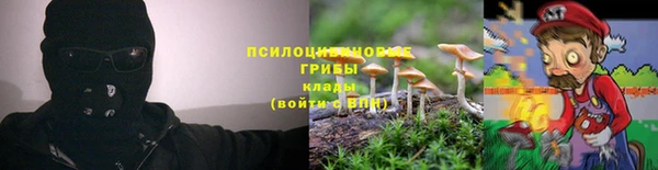крисы Вязьма